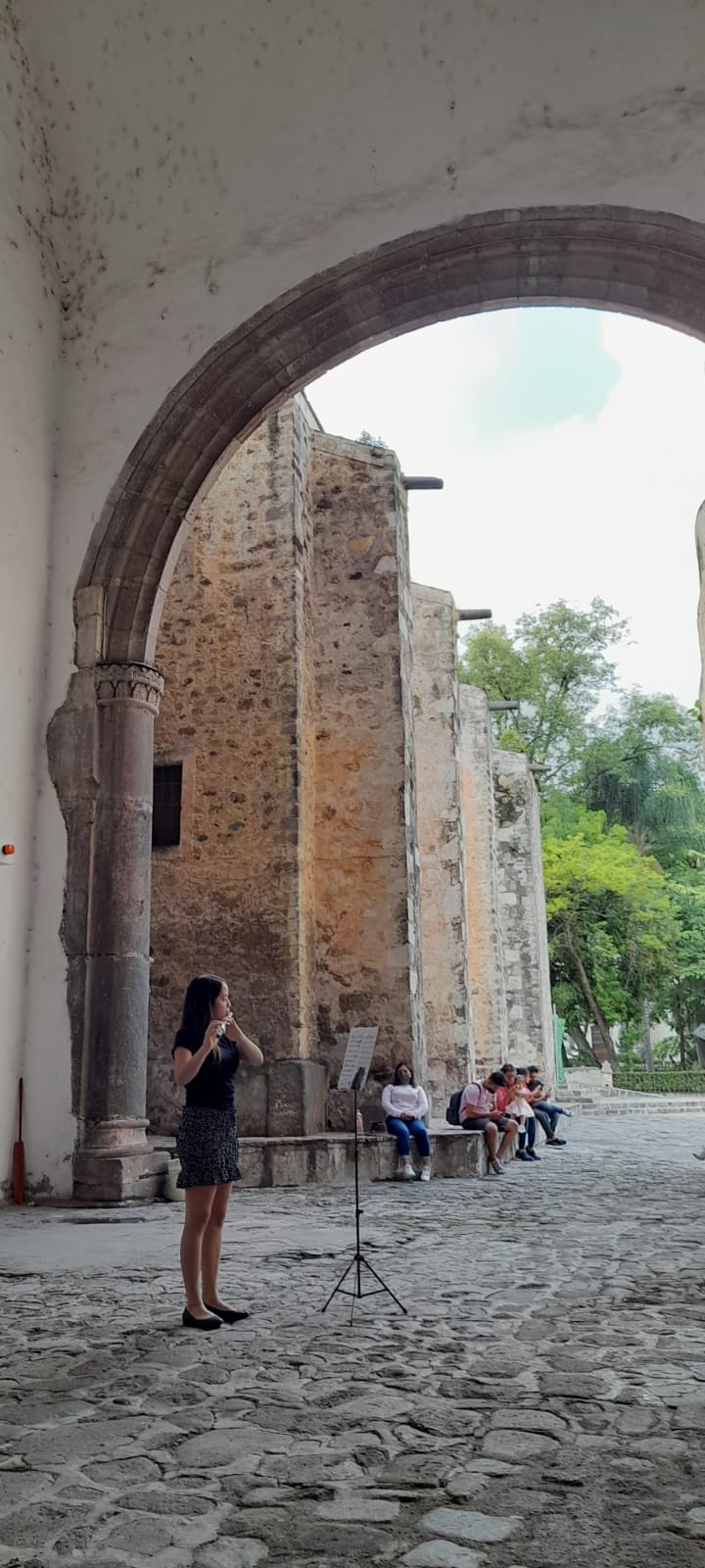 Ensamble de violines